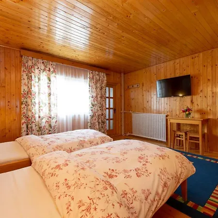 Carmi House Tohanu Nou
